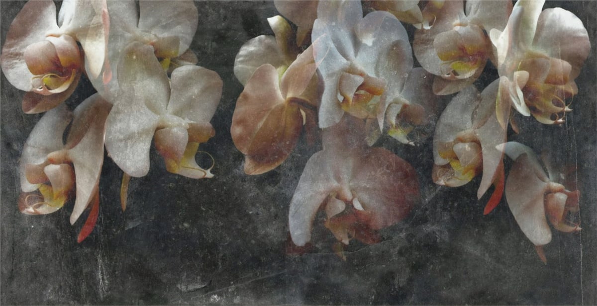 Çiçek Duvar Kağıtları 1Çiçek Duvar Kağıdı