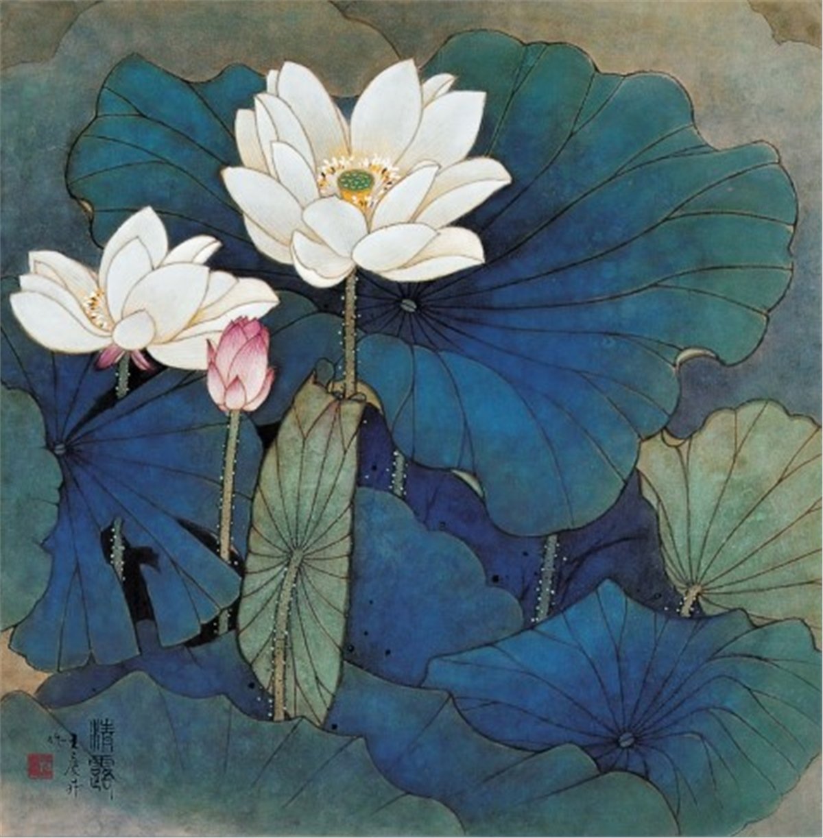 Çiçek Duvar Kağıtları 2Çiçek Duvar Kağıdı