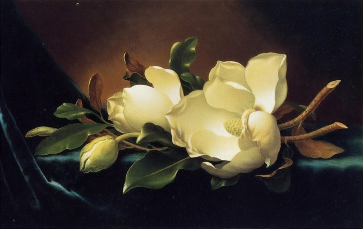 Çiçek Duvar Kağıtları 1Çiçek Duvar Kağıdı