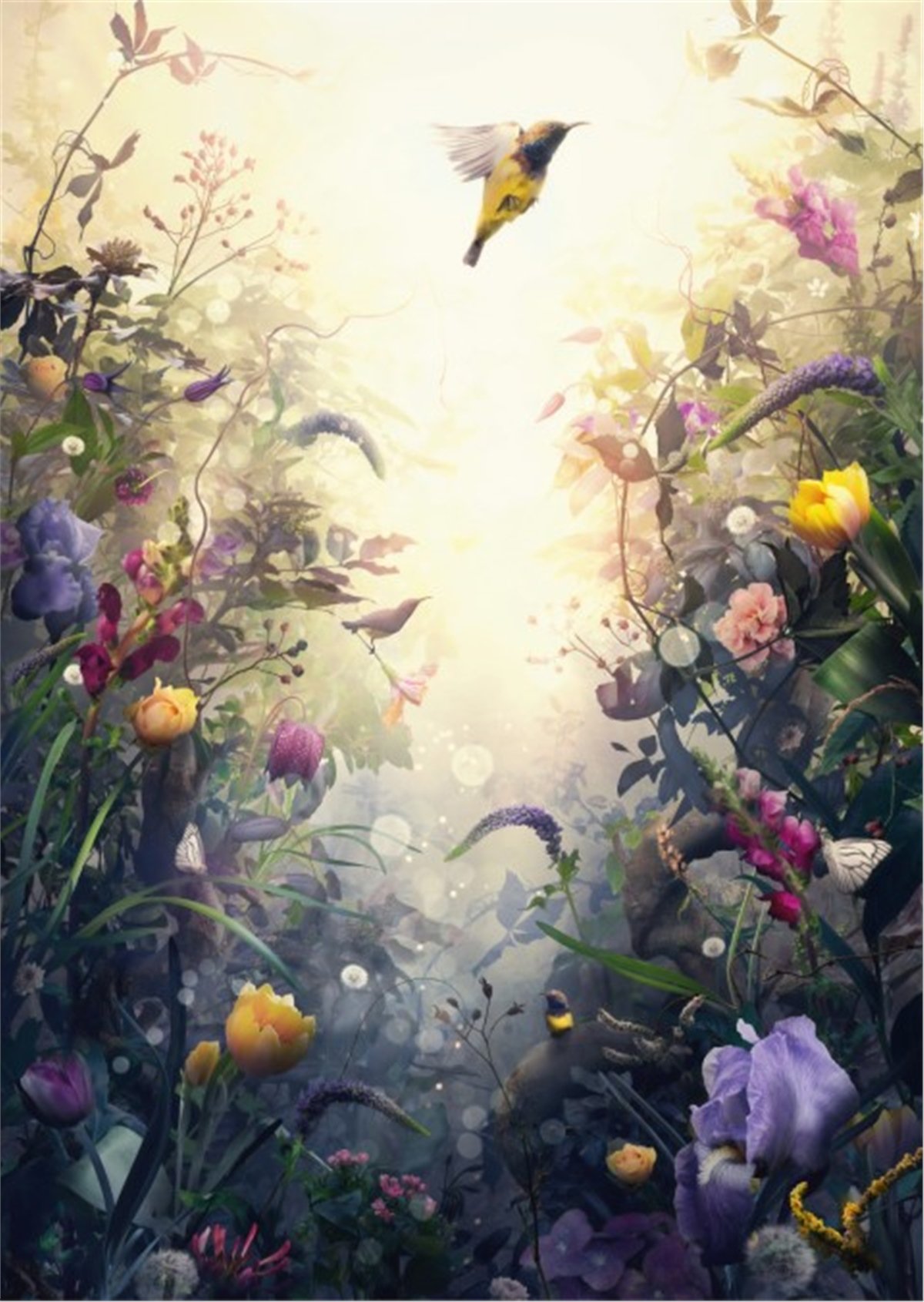 Çiçek Duvar Kağıtları 2Çiçek Duvar Kağıdı