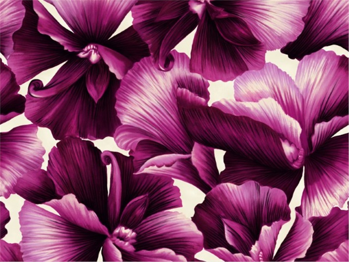 Çiçek Duvar Kağıtları 1Çiçek Duvar Kağıdı