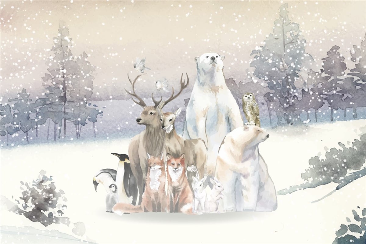 Çocuk Odası Duvar Kağıdı