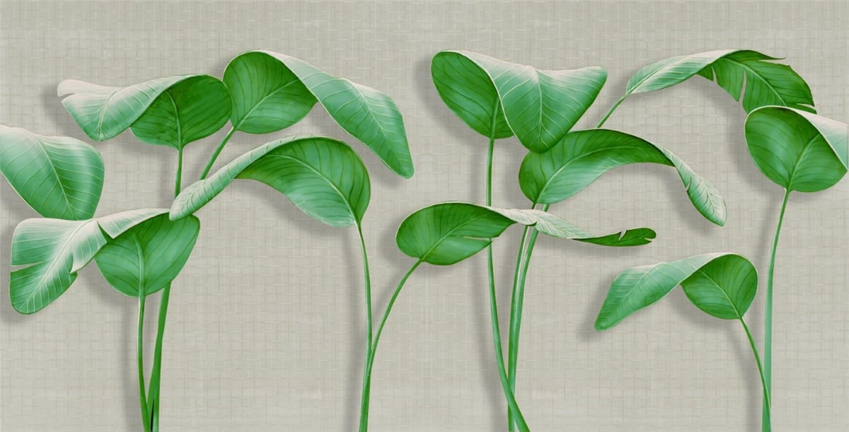 Tüy ve Yaprak Duvar KağıtlarıDuvar Kağıdı