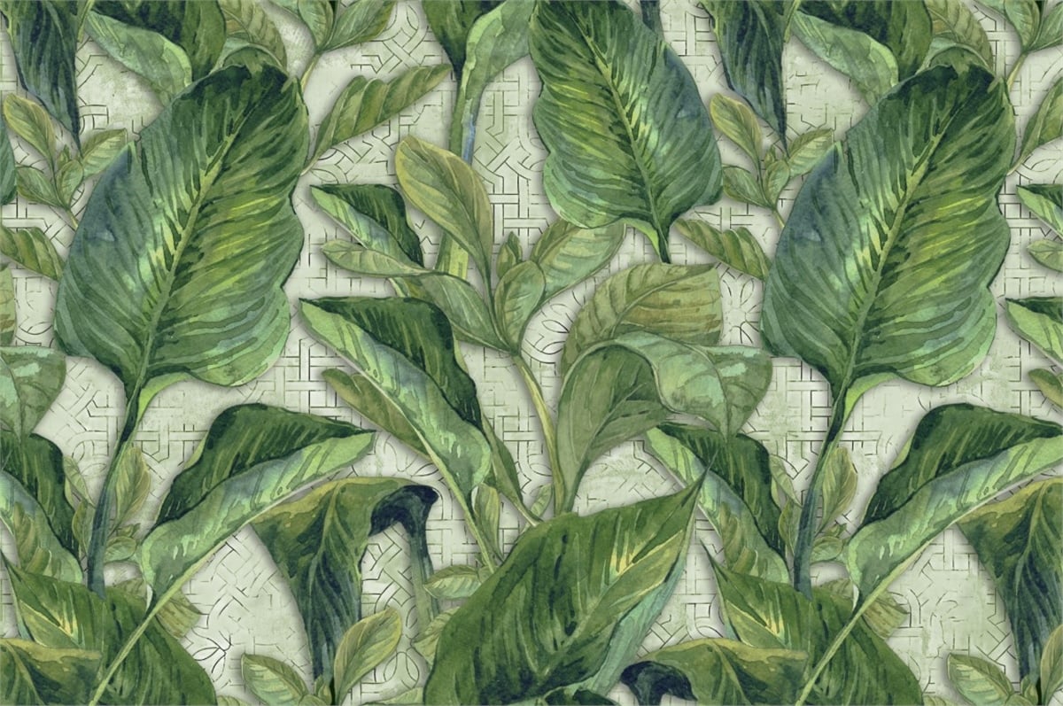 Tüy ve Yaprak Duvar KağıtlarıDuvar Kağıdı