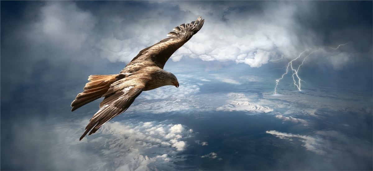 Fantastik Duvar KağıtlarıFantastik Duvar Kağıdı