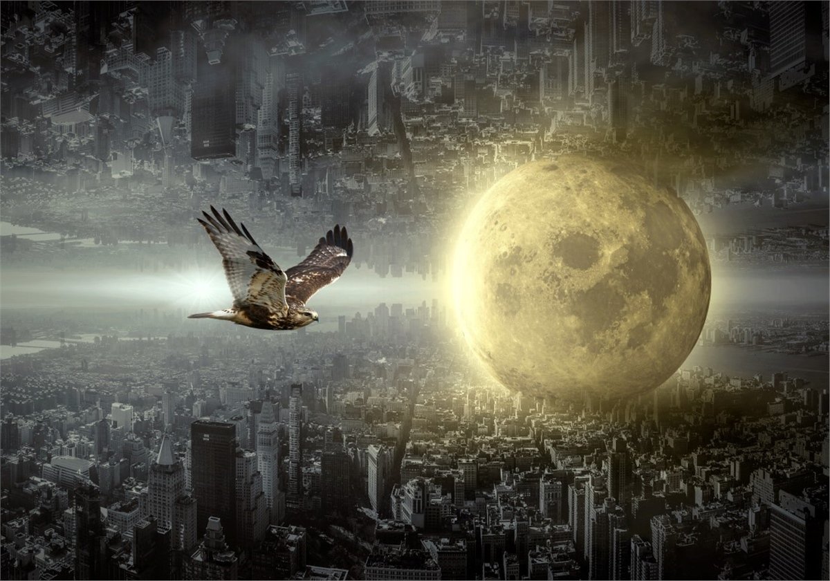 Fantastik Duvar KağıtlarıFantastik Duvar Kağıdı