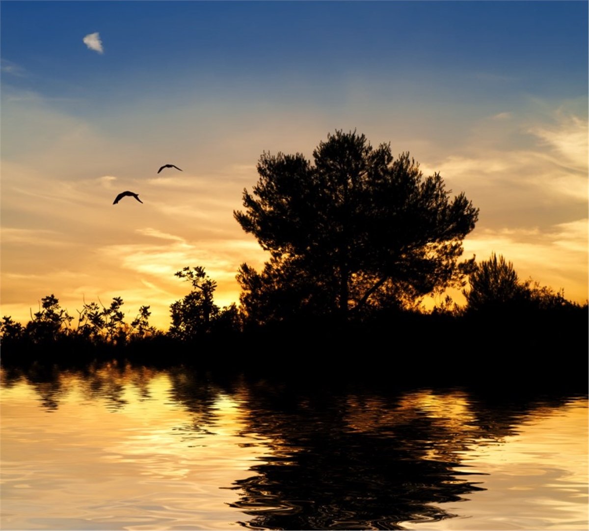 Gün Batımı Duvar KağıtlarıGünbatımı Duvar Kağıdı