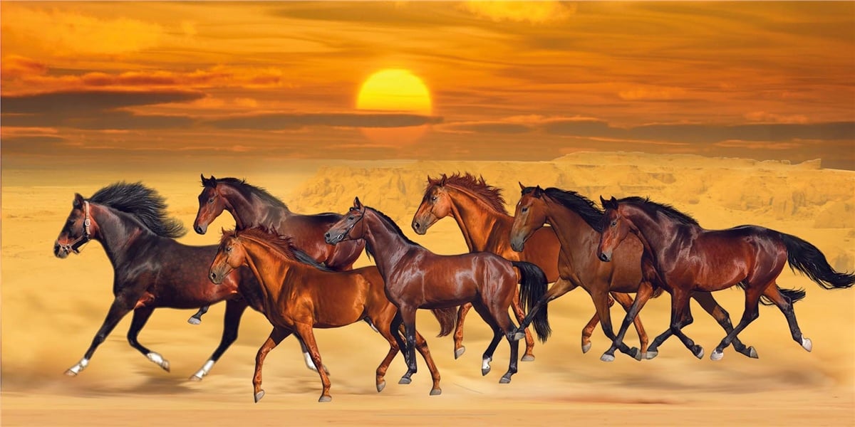 Hayvanlar Duvar KağıdıHayvanlar Duvar Kağıdı