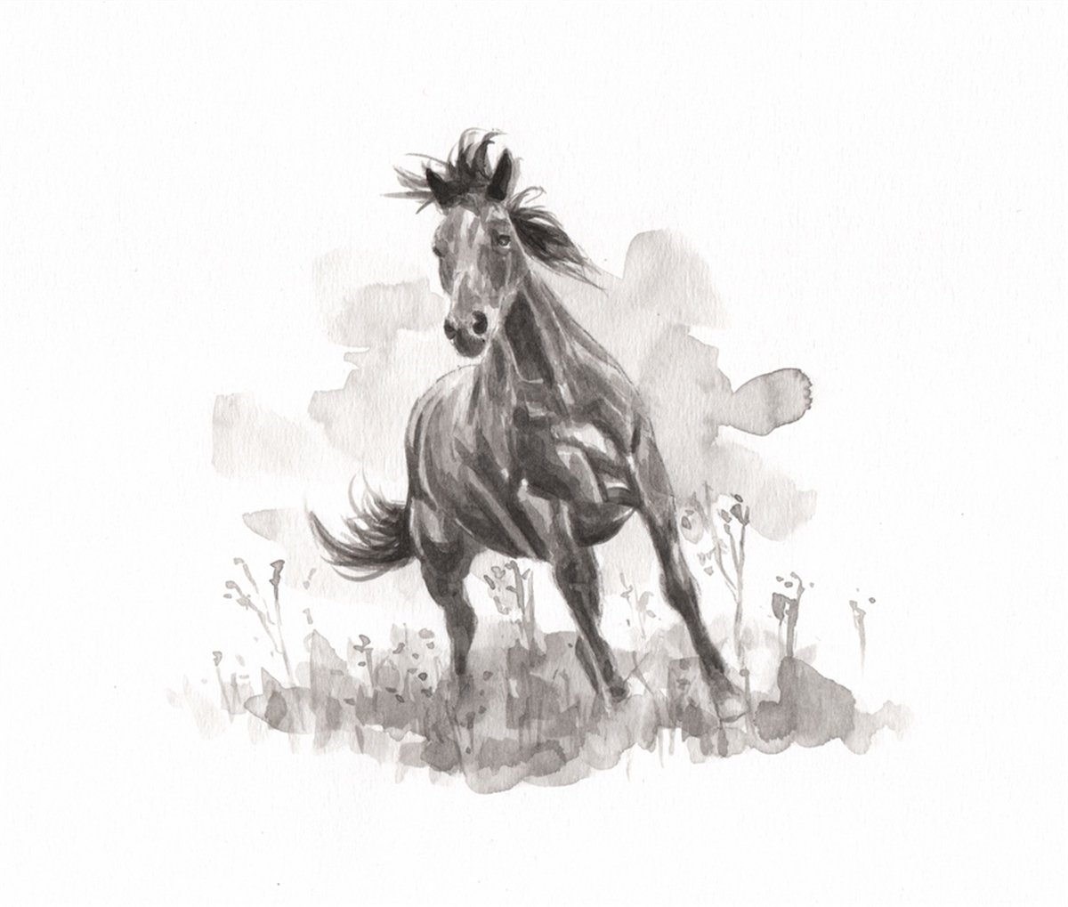 Hayvanlar Duvar KağıdıHayvanlar Duvar Kağıdı