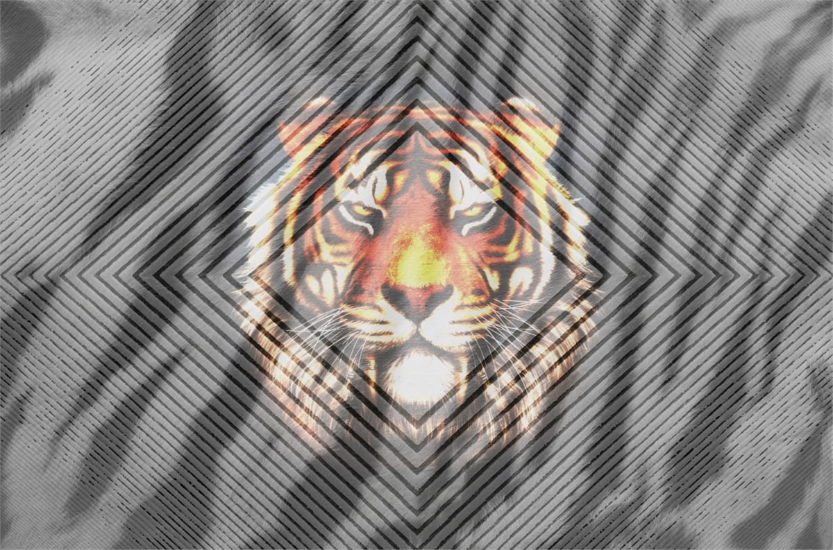 Hayvanlar Duvar KağıdıHayvanlar Duvar Kağıdı