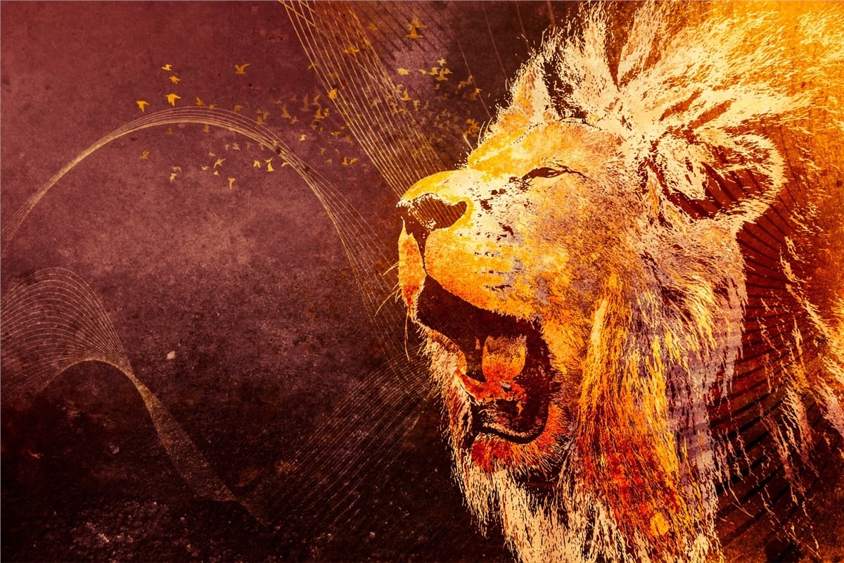 Hayvanlar Duvar KağıdıHayvanlar Duvar Kağıdı