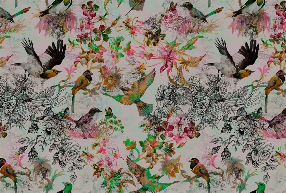Hayvanlar Duvar KağıdıHayvanlar Duvar Kağıdı