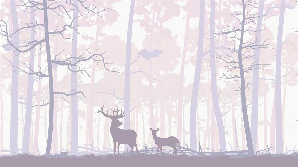 Çocuk Odasıİlham Çocuk Odası Duvar Kağıdı