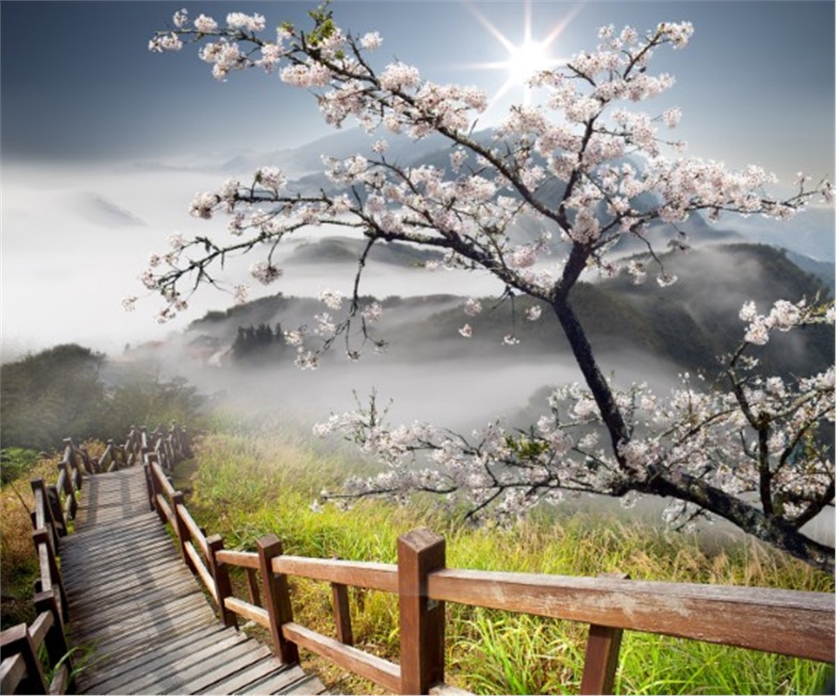 Manzara Duvar KağıtlarıManzara Duvar Kağıdı