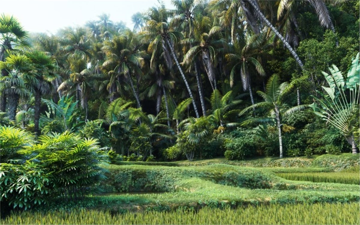 Manzara Duvar KağıtlarıManzara Duvar Kağıdı