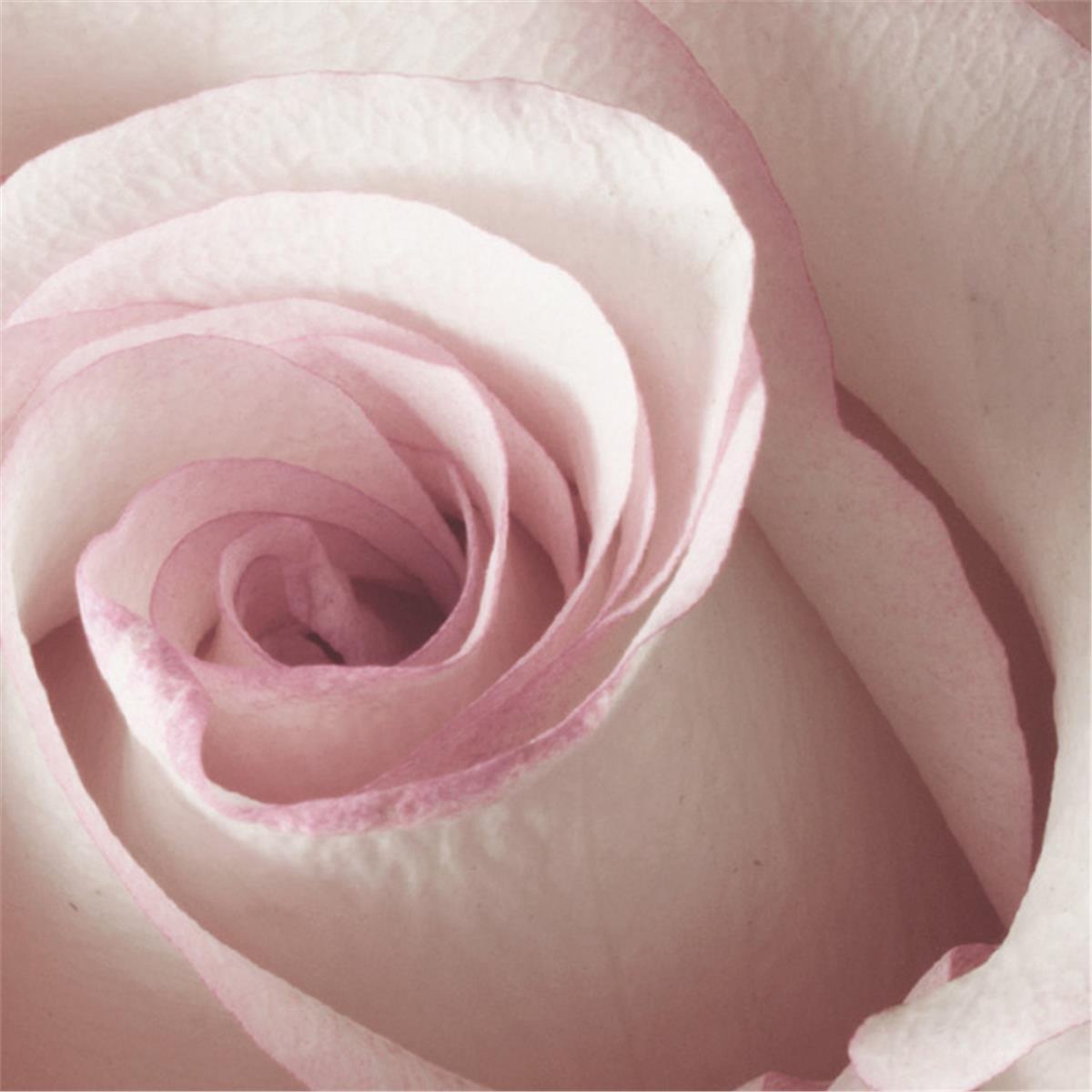 Retro ÇiçekRetro Çiçek Duvar Kağıdı