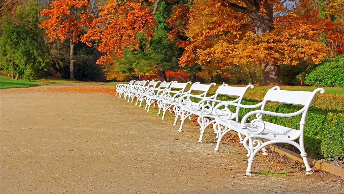 Sonbahar Duvar KağıtlarıSonbahar Duvar Kağıdı