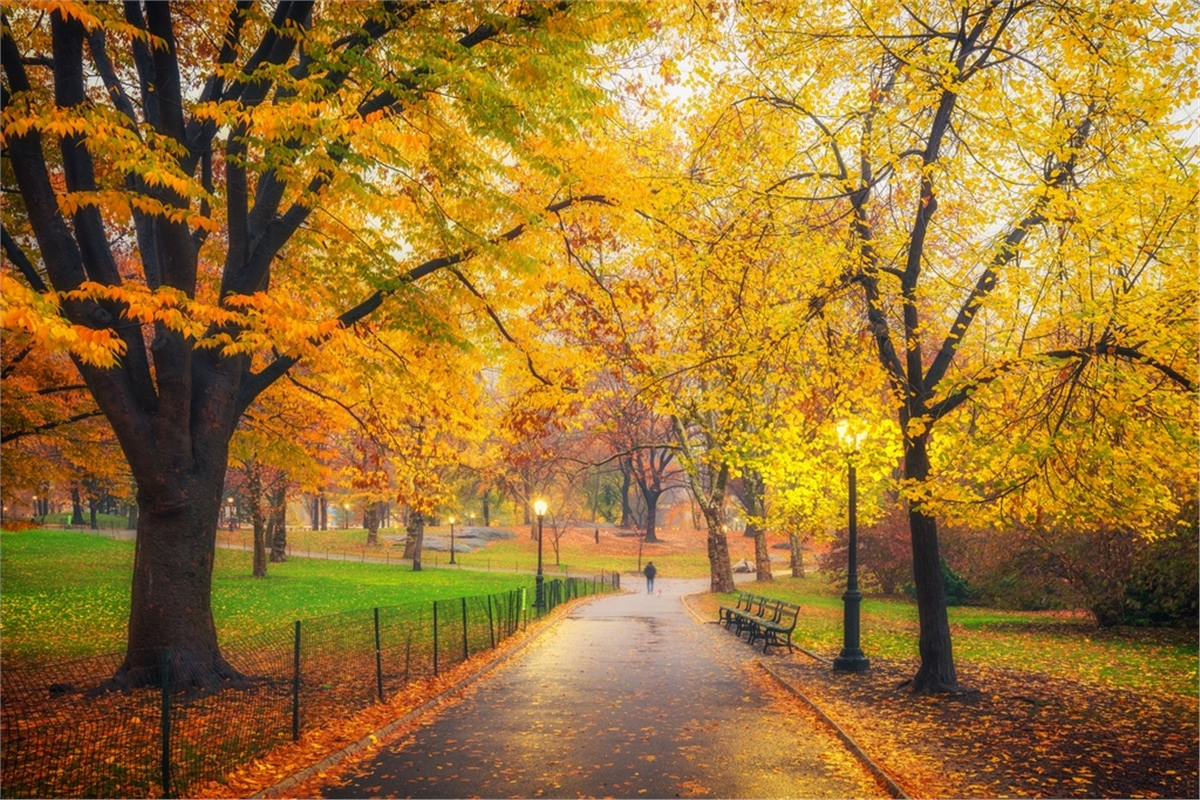 Sonbahar Duvar KağıtlarıSonbahar Duvar Kağıdı