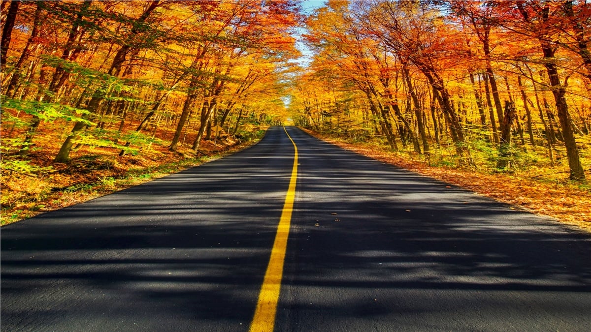 Sonbahar Duvar KağıtlarıSonbahar Duvar Kağıdı