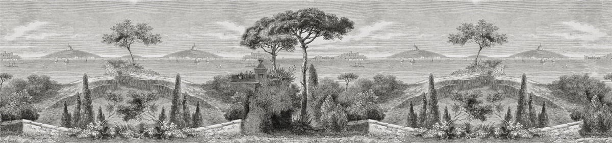 Tropikal Duvar Kağıtları 2Tropikal Duvar Kağıdı