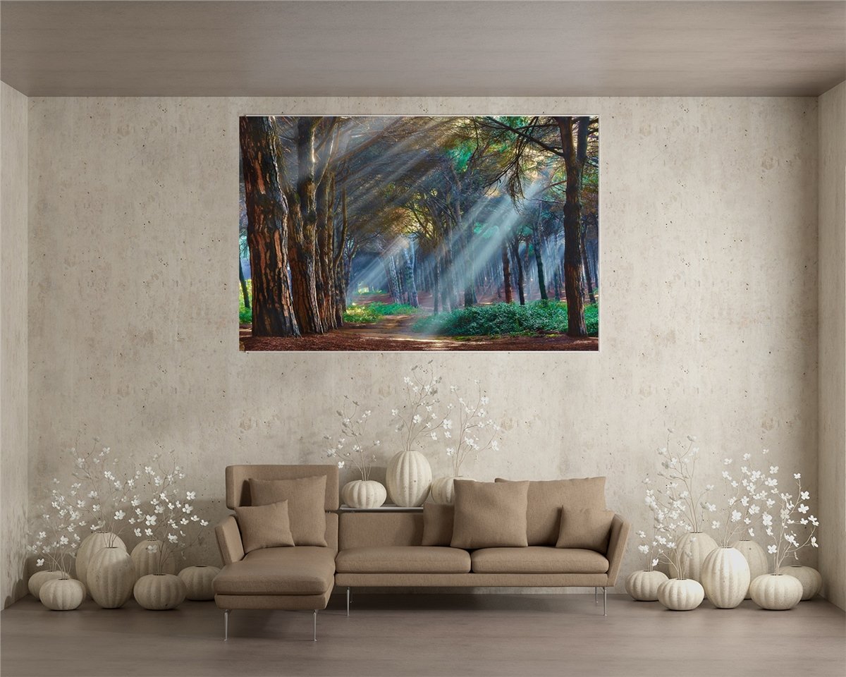 Tropikal Duvar Kağıtları 2Tropikal Duvar Kağıdı