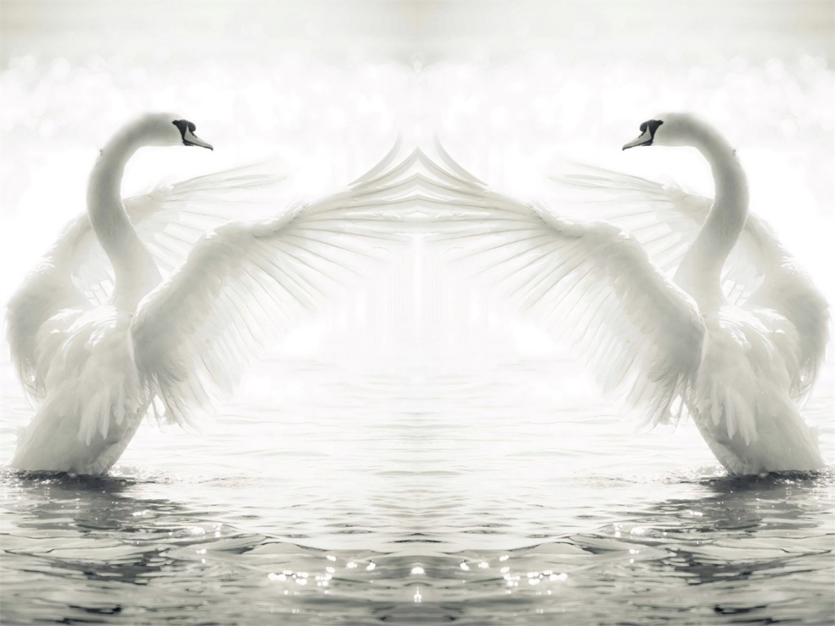 Tropikal Duvar Kağıtları 2Tropikal Duvar Kağıdı