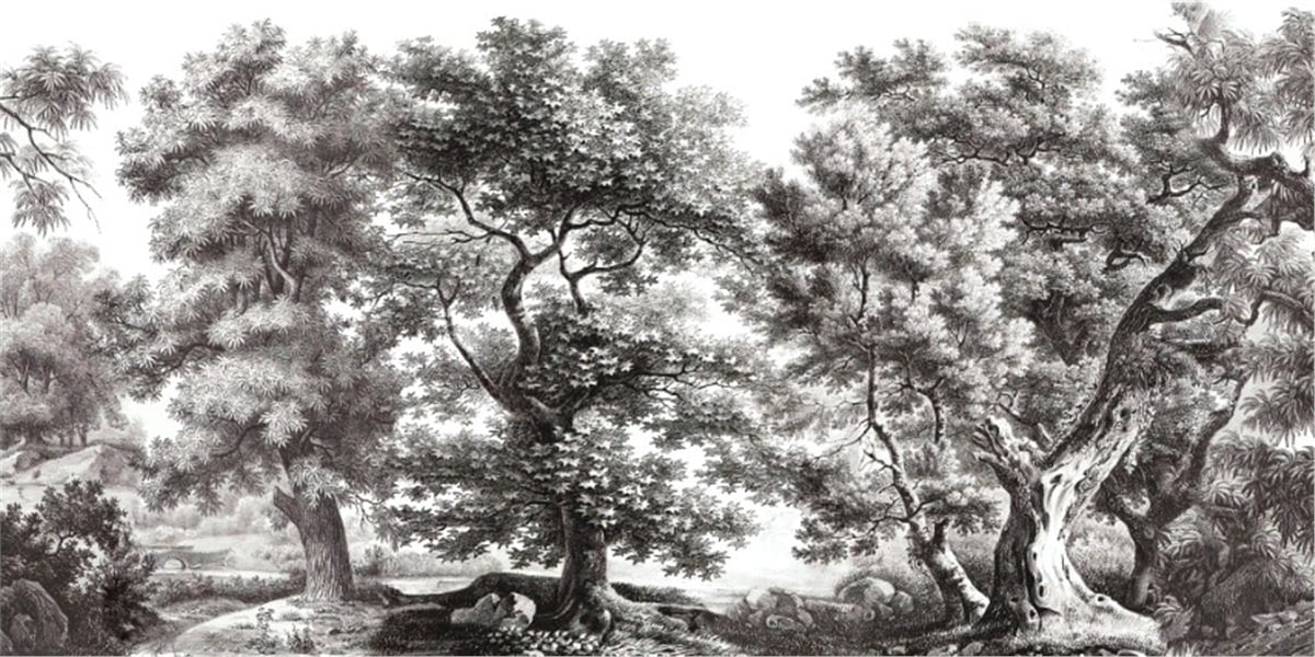 Tropikal Duvar KağıtlarıTropikal Duvar Kağıdı