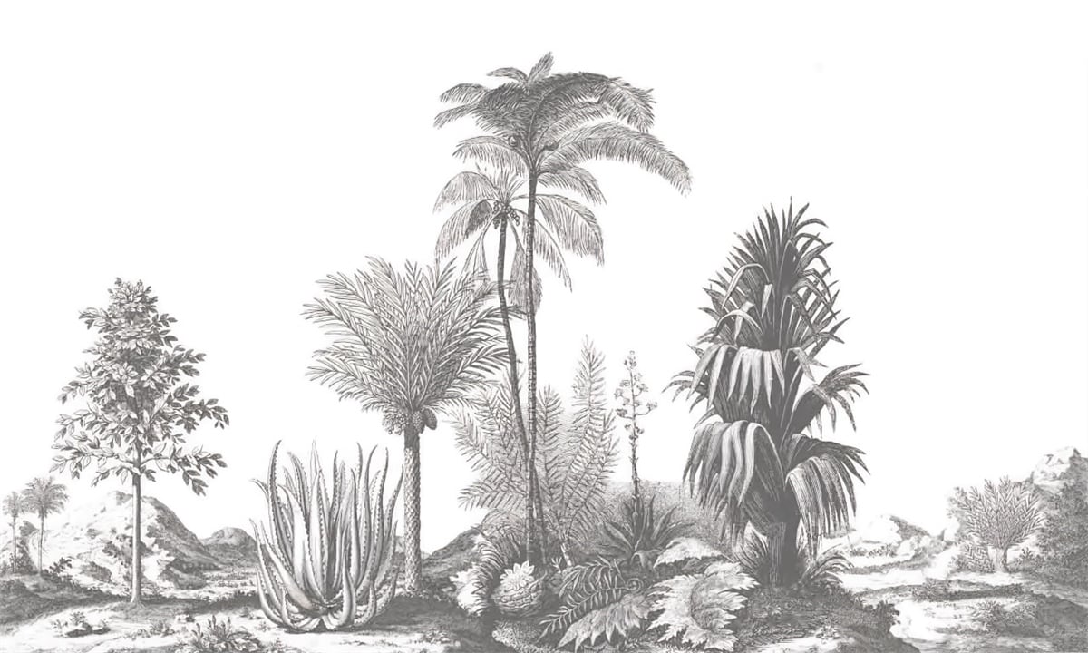 Tropikal Duvar Kağıtları 2Tropikal Duvar Kağıdı