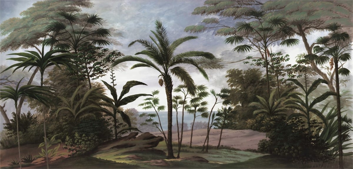 Tropikal Duvar KağıtlarıTropikal Duvar Kağıdı