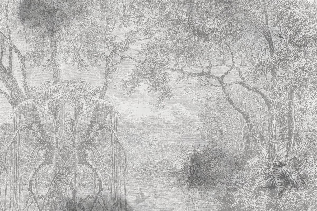 Tropikal Duvar Kağıtları 2Tropikal Duvar Kağıdı