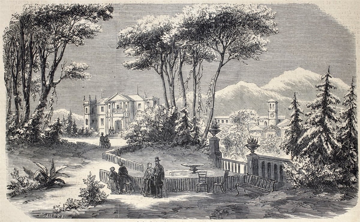 Tropikal Duvar Kağıtları 2Tropikal Duvar Kağıdı