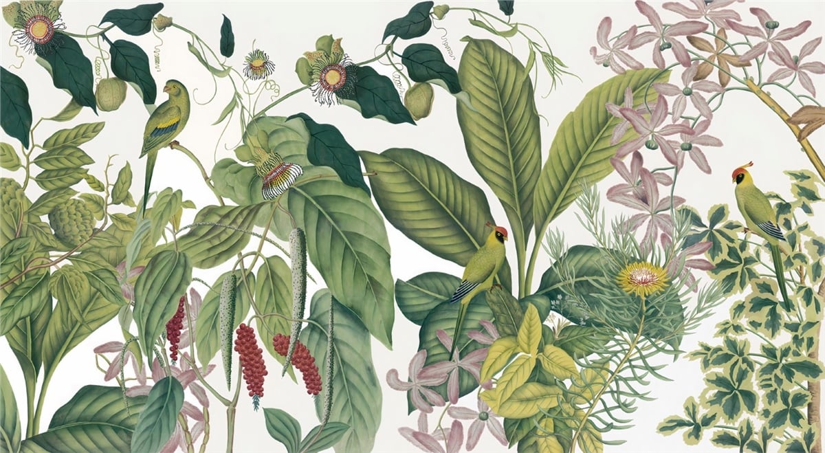 Tropikal Duvar KağıtlarıTropikal Duvar Kağıdı