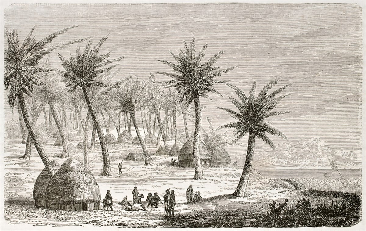 Tropikal Duvar Kağıtları 2Tropikal Duvar Kağıdı