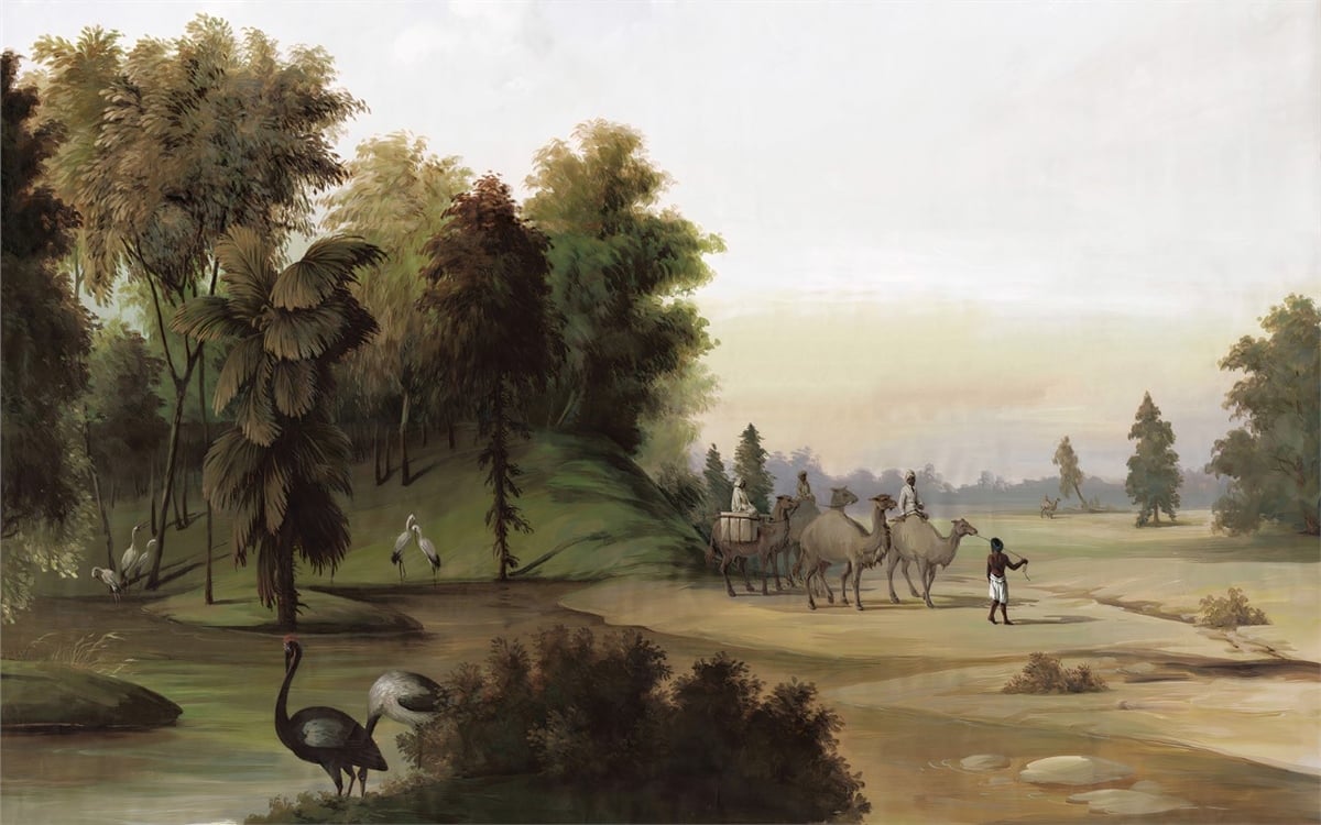 Tropikal Duvar KağıtlarıTropikal Duvar Kağıdı