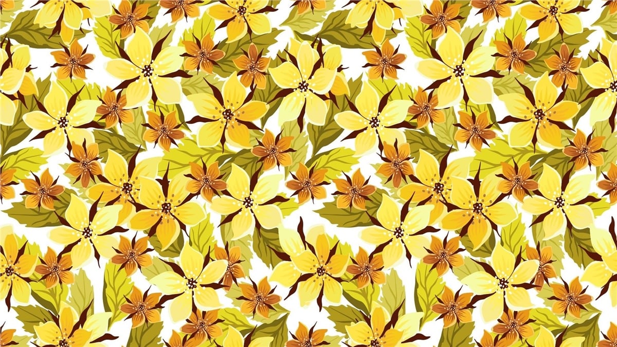 Vektörel Duvar KağıtlarıVektörel Duvar Kağıdı