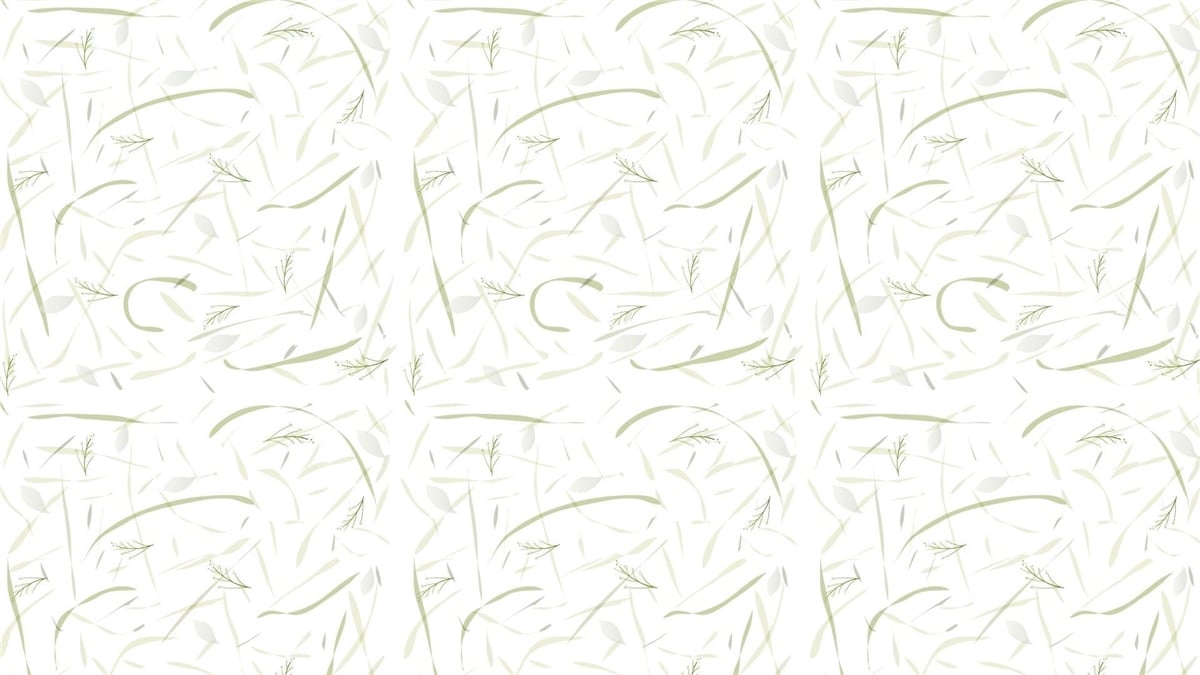 Vektörel Duvar KağıtlarıVektörel Duvar Kağıdı