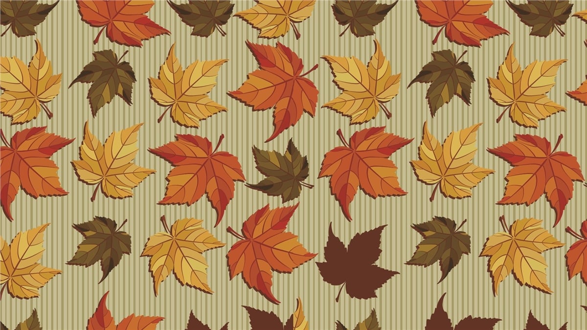 Vektörel Duvar KağıtlarıVektörel Duvar Kağıdı