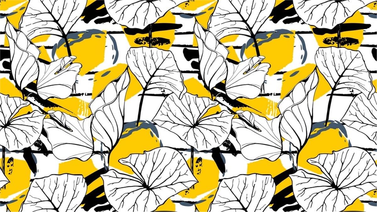 Vektörel Duvar KağıtlarıVektörel Duvar Kağıdı