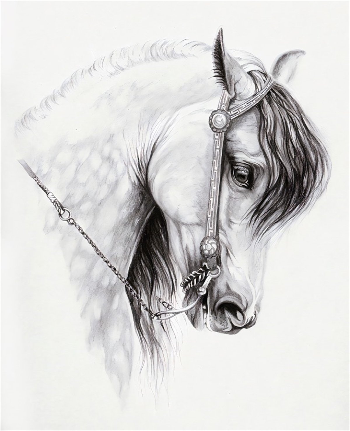 Yağlı Tablo Duvar KağıdıYağlı Tablo Duvar Kağıdı