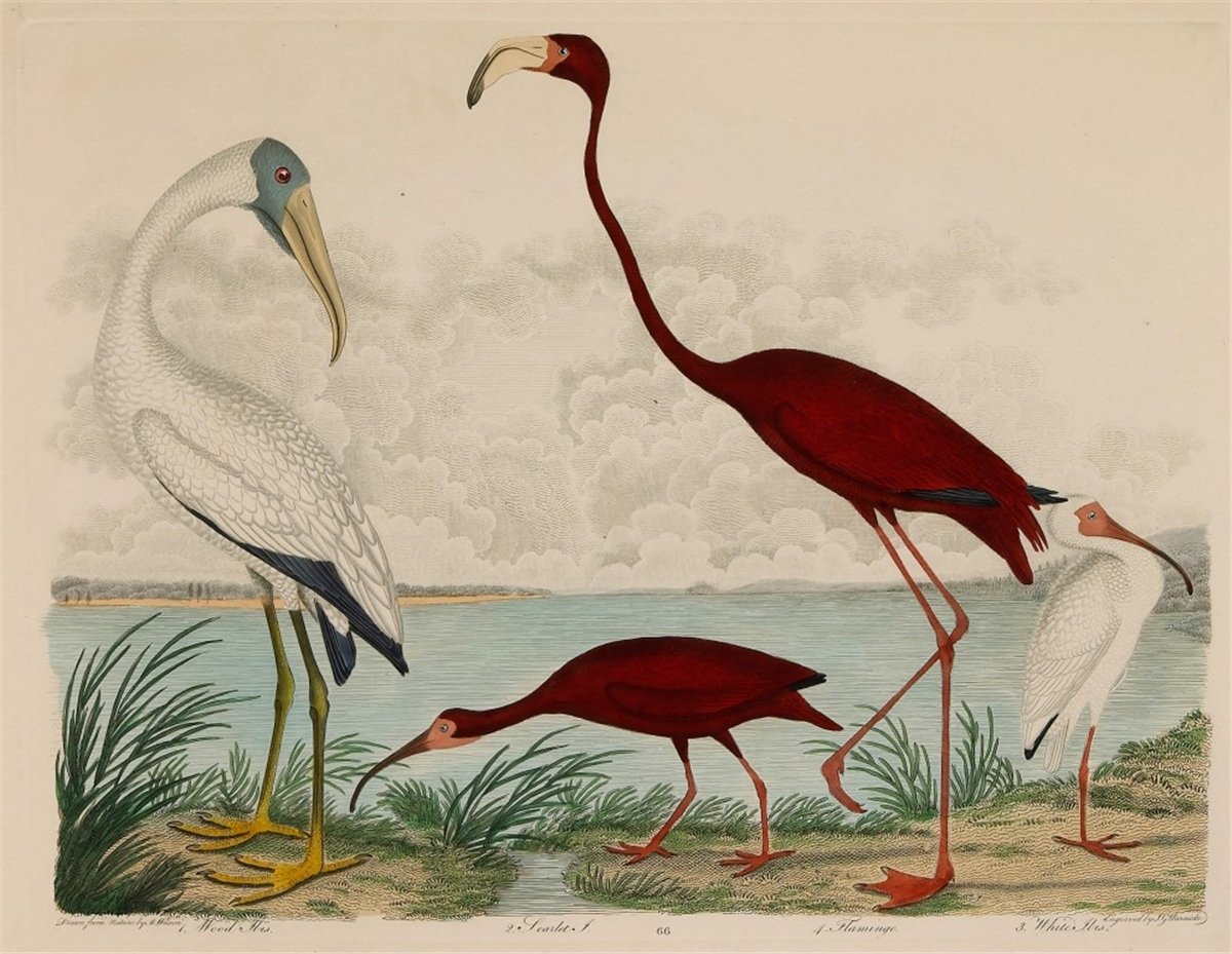 Yağlı Tablo Duvar KağıdıYağlı Tablo Duvar Kağıdı