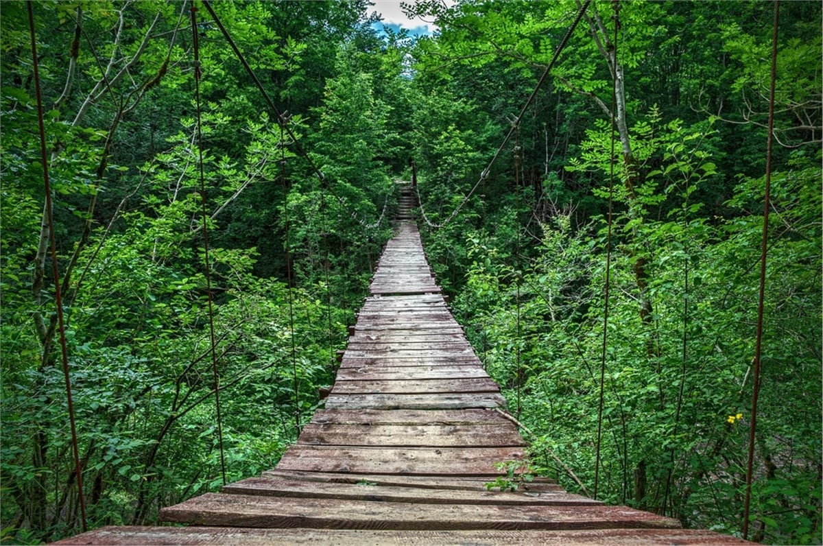 Yol Duvar KağıtlarıYol Duvar Kağıdı