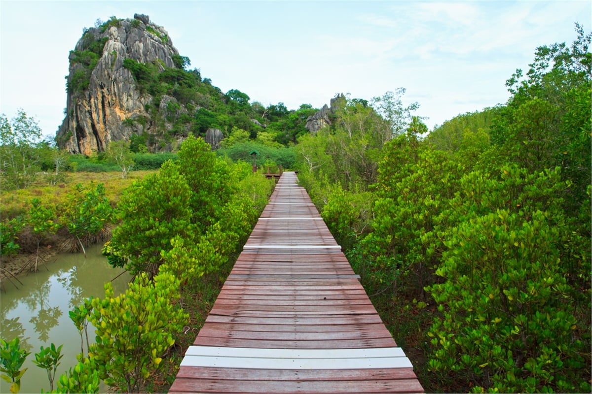 Yol Duvar KağıtlarıYol Duvar Kağıdı