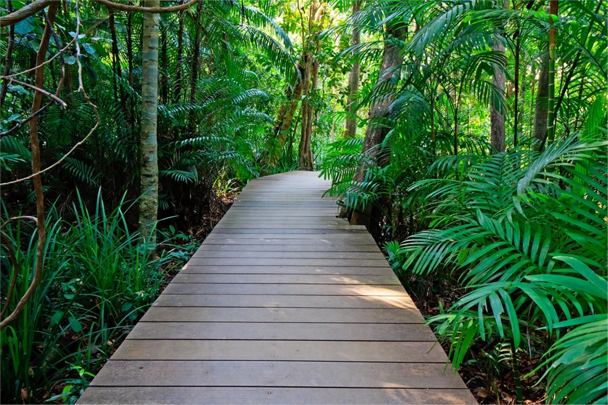 Yol Duvar KağıtlarıYol Duvar Kağıdı