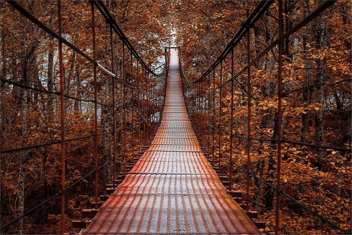 Yol Duvar KağıtlarıYol Duvar Kağıdı