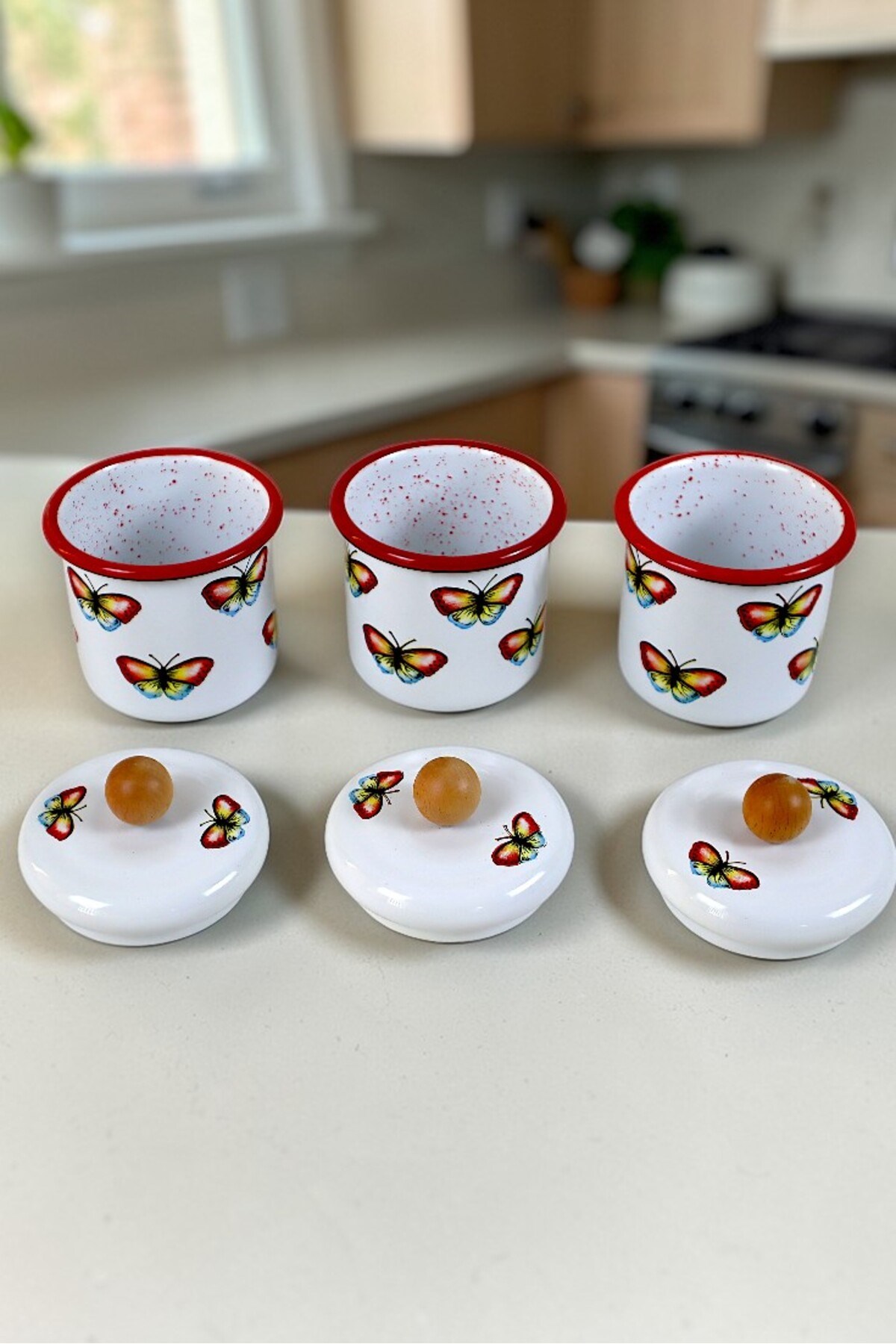 3'Lü Emaye Baharatlık Set 380Ml 6 Parça