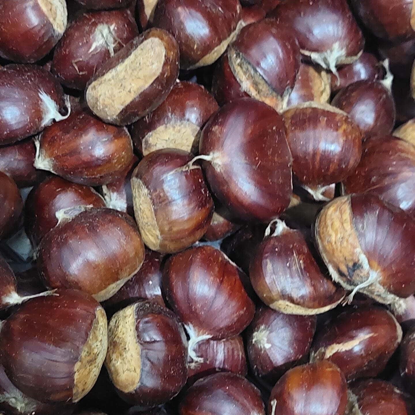 Aydın Kestanesi 1 Kg Duble