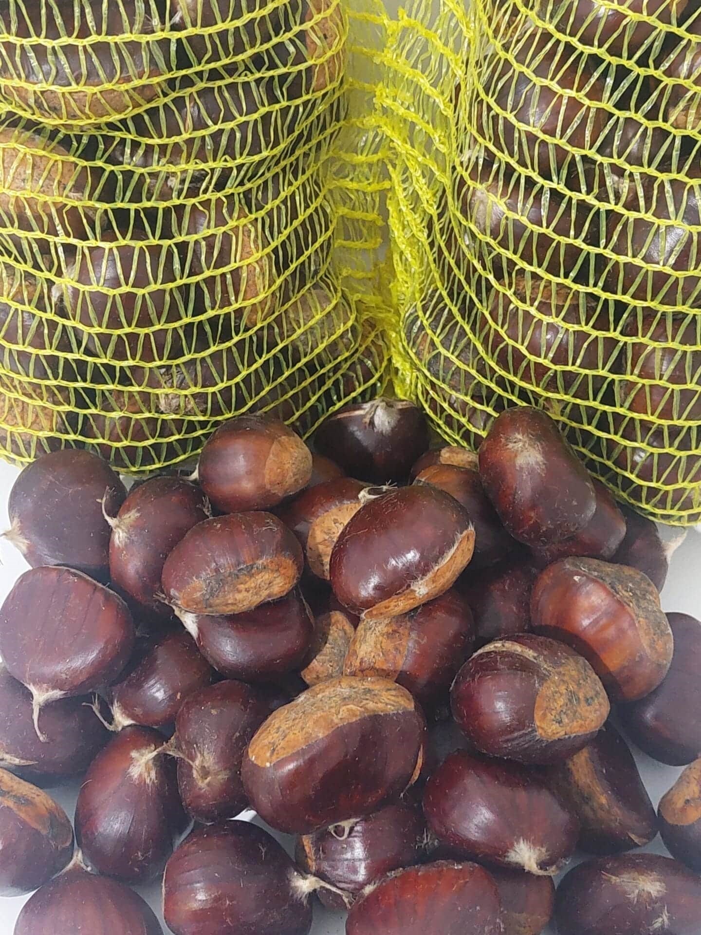 Aydın Kestanesi 1 Kg Duble