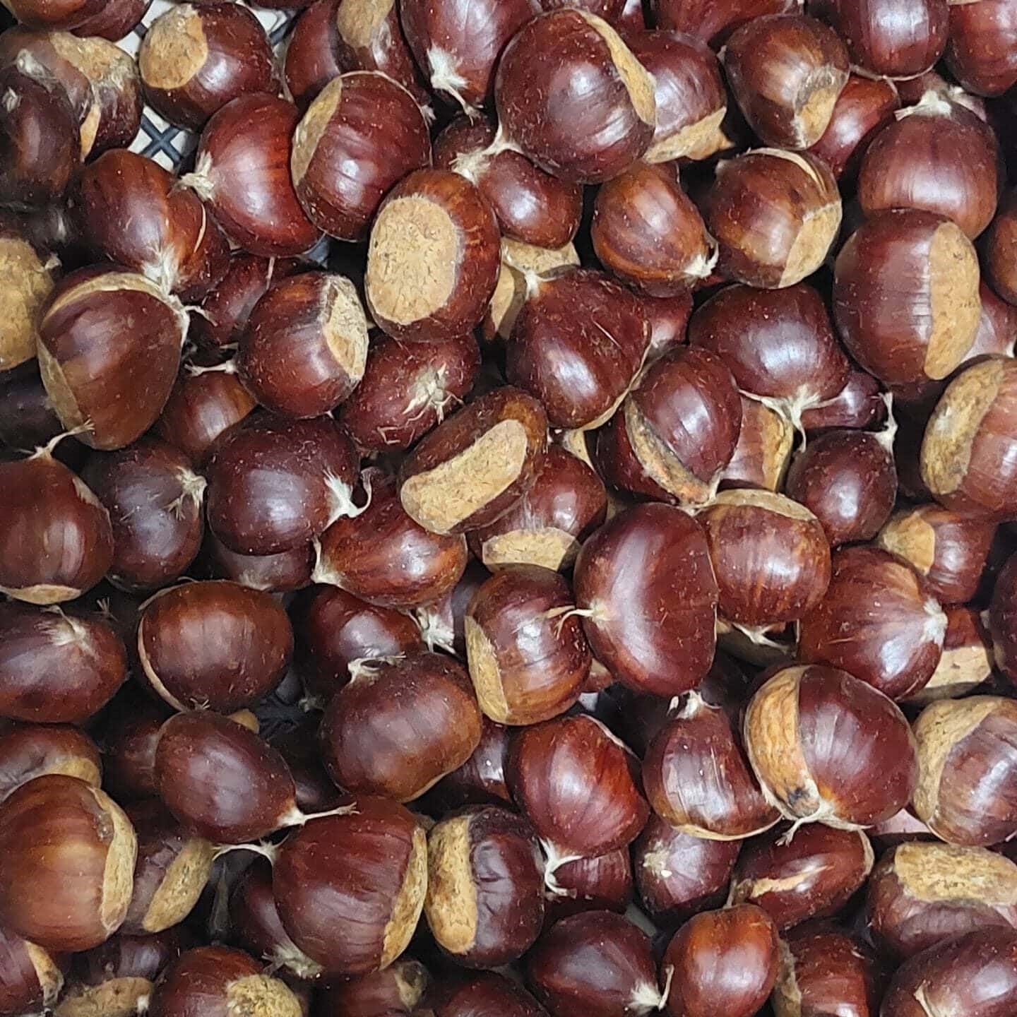 Aydın Kestanesi 1 Kg Jumbo