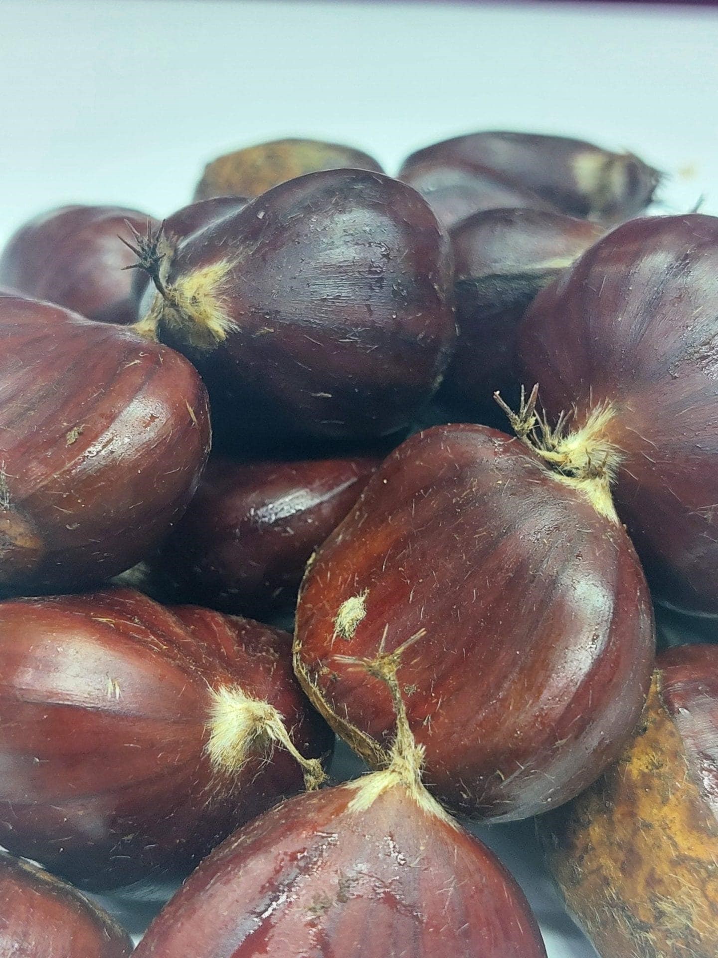 Aydın Kestanesi 1 Kg Jumbo