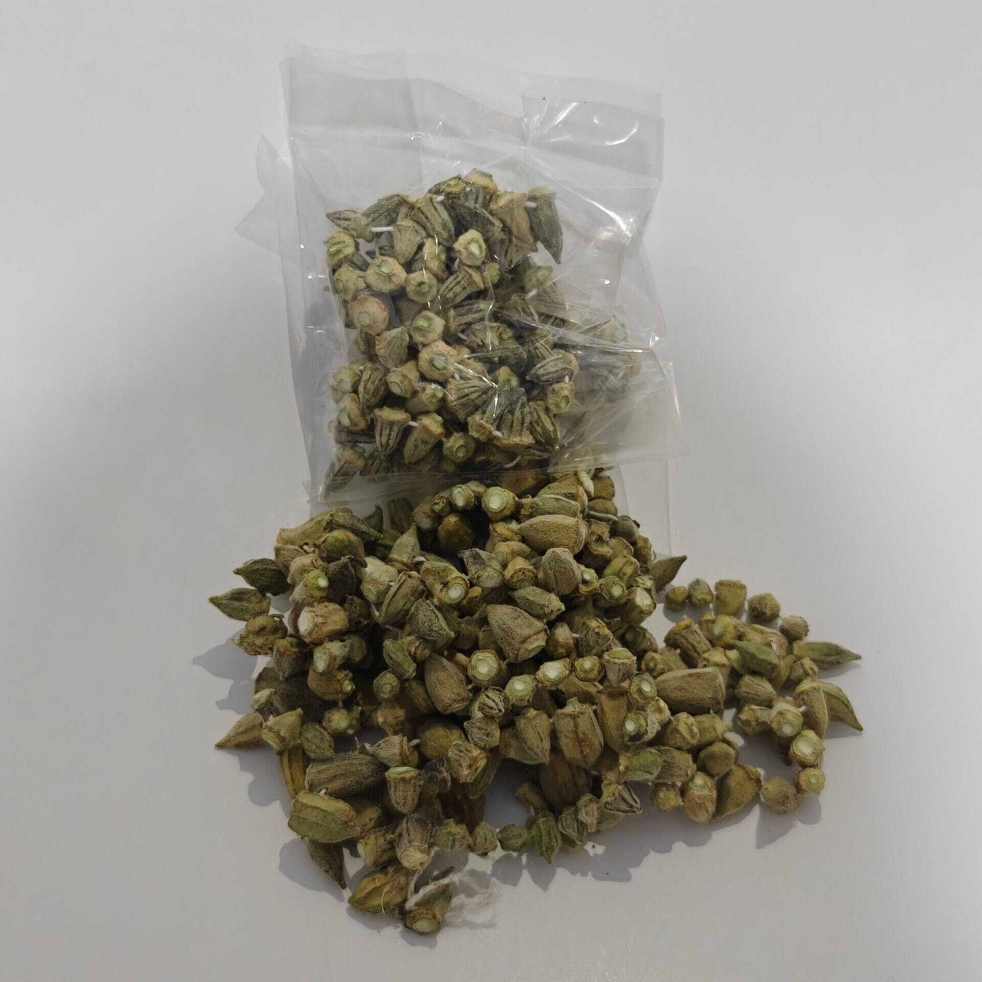 Bamya Kurusu 1 Dizi 50 - 55 Gr